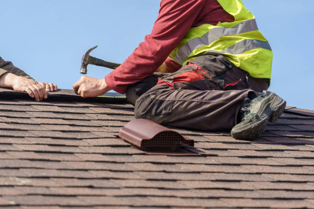 Best Roof Leak Repair  in Allendale, MI