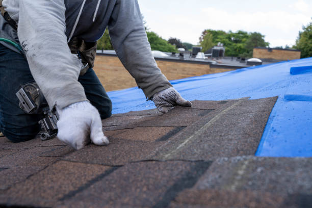 Best Local Roofing Companies  in Allendale, MI