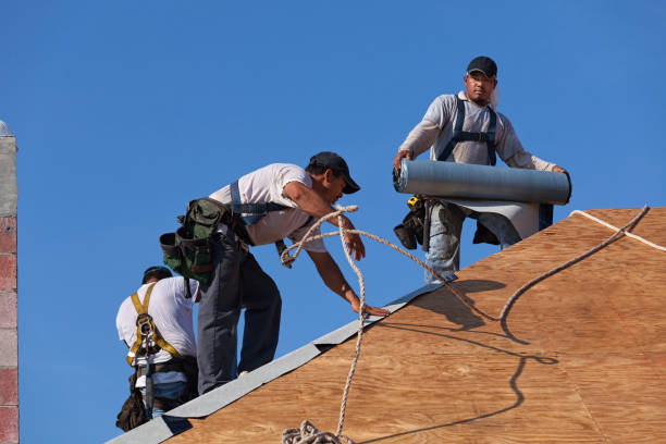 Best New Roof Installation  in Allendale, MI