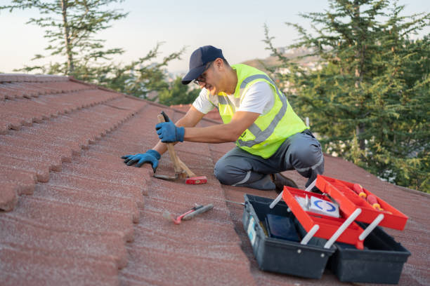 Best Roof Repair Specialists  in Allendale, MI
