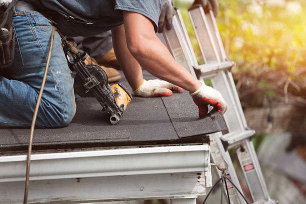 Best Metal Roofing Contractor  in Allendale, MI