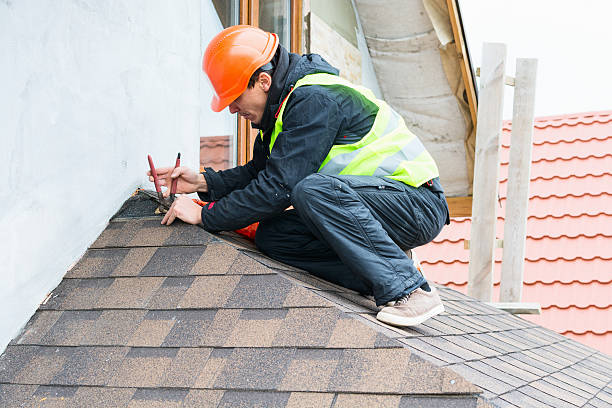 Best Storm Damage Roof Repair  in Allendale, MI