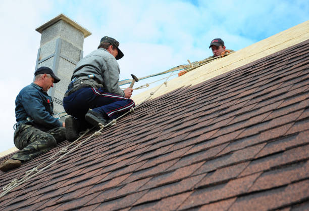 Best Roof Gutter Cleaning  in Allendale, MI