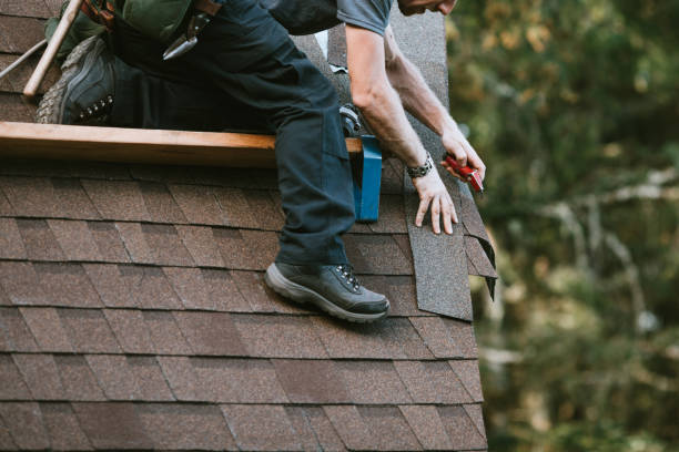 Best Residential Roofing Contractor  in Allendale, MI